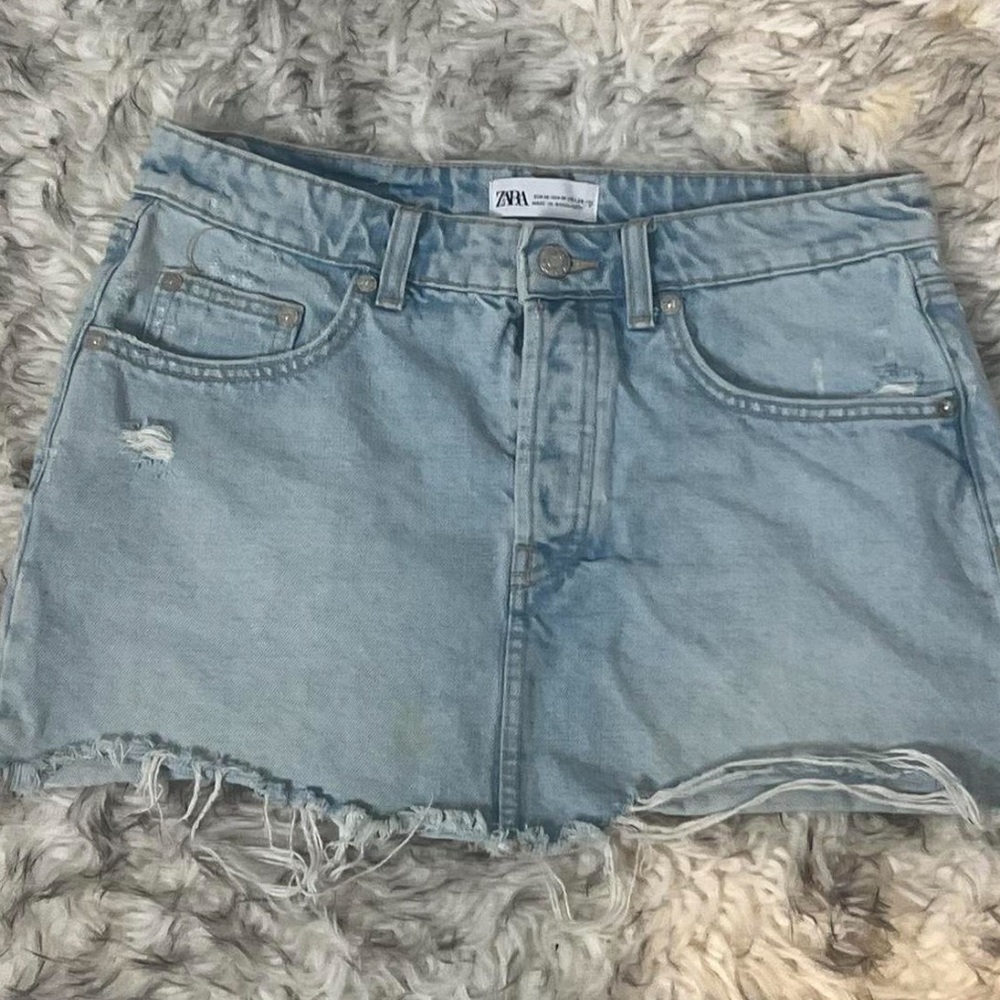 Zara Jean skirt